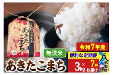 《定期便7ヶ月》【新米】 あきたこまち 3kg×1袋【無洗米】令和7年産 秋田県産 こまちライン