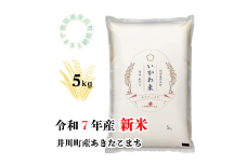 【令和7年産先行予約】あきたこまち　精米5kg　秋田県井川町産