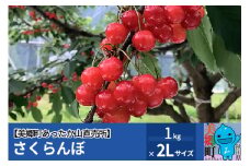 さくらんぼ 佐藤錦 1kg 2Lサイズ 美郷町あったか山直売所
