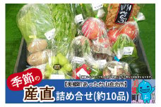 季節の産直詰め合わせ 野菜 山菜 果物 フルーツ お菓子 漬物 など
