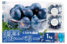 くろかわ農園 ブルーベリー 1kg（500g×2パック）