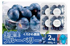 くろかわ農園 ブルーベリー 2kg（500g×4パック）