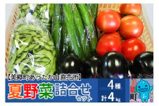 朝採り！夏野菜詰め合わせセット 4kg (トマト きゅうり なす 枝豆)