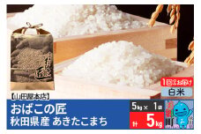 令和6年産 おばこの匠 秋田県産あきたこまち 5kg（白米）5kg袋 秋田こまち お米