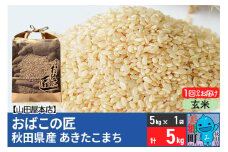 令和6年産 おばこの匠 秋田県産あきたこまち 5kg（玄米）5kg袋 秋田こまち お米