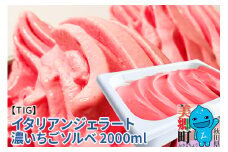 ジェラテリア TiG（ティグ）イタリアンジェラート 無着色・無香料 濃いちごソルベ 2000ml（2L）