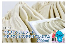 ジェラテリア TiG（ティグ）イタリアンジェラート 無着色・無香料 イタリアンピスタチオプレミアム 2000ml（2L）