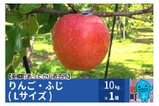 りんご・ふじ (Lサイズ) 10kg×1箱 美郷町あったか山直売所