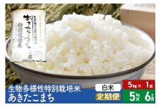 【白米】《定期便6ヶ月》令和6年産 生物多様性特別栽培米あきたこまち 5kg（5kg×1袋）×6回 計30kg 6か月 6ヵ月 6カ月 6ケ月 6か月 6ヵ月 6カ月 6ケ月