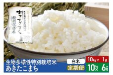 【白米】《定期便6ヶ月》令和6年産 生物多様性特別栽培米あきたこまち 10kg（10kg×1袋）×6回 計60kg 6か月 6ヵ月 6カ月 6ケ月