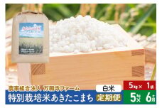 【白米】《定期便6ヶ月》令和6年産 特別栽培米あきたこまち 5kg（5kg×1袋）×6回 計30kg 6か月 6ヵ月 6カ月 6ケ月