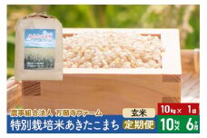 【玄米】《定期便6ヶ月》令和6年産 特別栽培米あきたこまち 10kg（10kg×1袋）×6回 計60kg 6か月 6ヵ月 6カ月 6ケ月