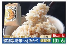 【玄米】《定期便6ヶ月》令和6年産 特別栽培米つきあかり 10kg（10kg×1袋）×6回 計60kg 6か月 6ヵ月 6カ月 6ケ月