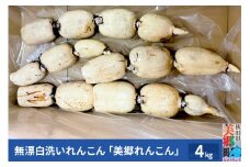 無漂白洗いれんこん「美郷れんこん」4kg