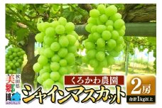 【期間限定】シャインマスカット 2房(合計1kg以上) 9月下旬よりお届け