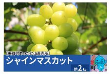 シャインマスカット 約2kg
