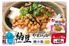 ヤマダフーズ 納豆大好きやわらか 極小粒 ミニ 4パック×12個（計48個）