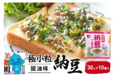 ヤマダフーズ 極小粒納豆 醤油味 30g 10個入