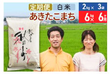 《定期便6ヶ月》令和7年産 あきたこまち特別栽培米6kg（2kg×3袋）×6回 計36kg【白米】秋田県産あきたこまち 6か月 6ヵ月 6カ月 6ケ月 秋田こまち お米 秋田