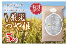 特別栽培米 山形県産厳選つや姫  つや姫 米 お米 ブランド米 銘柄米 備蓄 日本米 コメ ごはん ご飯 食品 山形県 F2Y-0031