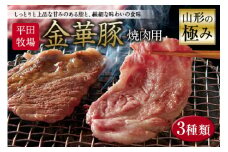 山形の極み 平田牧場 金華豚 焼肉用 F2Y-0387