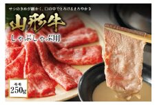 〈山形牛〉 しゃぶしゃぶ用 F2Y-0715