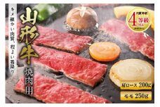 山形牛 焼肉用 F2Y-0908
