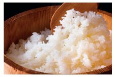 山形の極み 特別栽培米 山形県置賜産 つや姫  米 お米 ブランド米 銘柄米 備蓄 日本米 コメ ごはん ご飯 食品 山形県 F2Y-1052