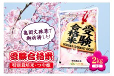【先行予約】令和6年度産 日本三文殊 亀岡文殊 受験合格米（特別栽培米 つや姫） F2Y-1115