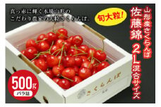 《先行予約》旬大粒 山形産さくらんぼ 佐藤錦 2L混合サイズ 500g バラ詰 FSY-0418