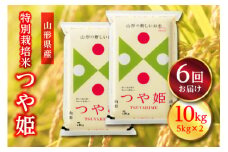 《定期便》山形県産 特別栽培米 つや姫 10kg(5kg×2)×6回 こめ 米 山形県産 内祝い ギフト  お米 ブランド米 銘柄米 備蓄 日本米 コメ ごはん ご飯 食品 山形県 F2Y-3083