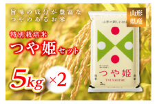 《ふるさとの極み》山形県産 つや姫セット 10kg(5kg×2)  米 お米 コメ ごはん ご飯 食品 山形県 F2Y-1180