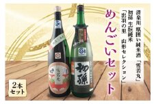 めんごいセット 日本酒2本セット F2Y-4243