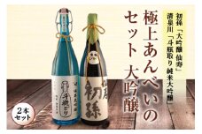 極上あんべいのセット 大吟醸2本セット F2Y-4251