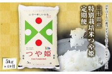 山形県産特別栽培米つや姫定期便4回(つや姫5kg×4ヶ月) つやひめ 山形 定期便 米 精米 白米 弁当 ごはん ご飯 コメ おにぎり 送料無料 プレゼント ギフト ふるさと納税  山形県 F2Y-4016
