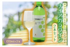 ナイアガラワイン2本セット F2Y-1300