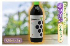 赤ワイン2本セット F2Y-1306