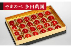 ≪2025年 先行予約≫さくらんぼ 珠玉の佐藤錦 みやび箱 24粒「やまのべ多田農園」 F2Y-1369