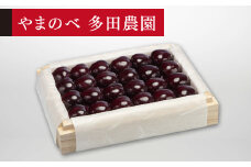 ≪2025年 先行予約≫さくらんぼ 特選サミット 桐箱詰 約300g「やまのべ多田農園」 F2Y-1372