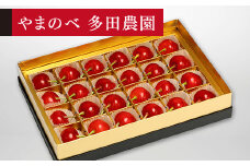 ≪2025年 先行予約≫さくらんぼ 珠玉の紅秀峰 みやび箱詰 24粒「やまのべ多田農園」 F2Y-1373