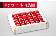 ≪2025年 先行予約≫さくらんぼ 特選「真夏のルビー紅姫」 桐箱詰 約300g「やまのべ多田農園」 F2Y-1378