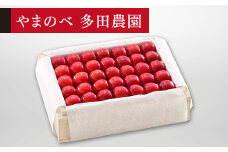 ≪2025年 先行予約≫さくらんぼ 特選佐藤錦 桐箱詰 約500g「やまのべ多田農園」 F2Y-1382
