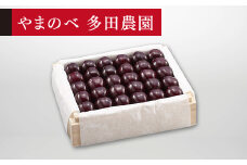 ≪2025年 先行予約≫さくらんぼ 特選サミット 桐箱詰 約500g「やまのべ多田農園」 F2Y-1383