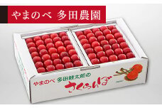 ≪2025年 先行予約≫さくらんぼ 佐藤錦 手詰  1kg(約500g×2)「やまのべ多田農園」 F2Y-1386