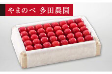 ≪2025年 先行予約≫さくらんぼ 特選佐藤錦 桐箱詰 約700g「やまのべ多田農園」 F2Y-1387
