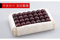 ≪2025年 先行予約≫さくらんぼ 特選サミット 桐箱詰 約700g「やまのべ多田農園」 F2Y-1388
