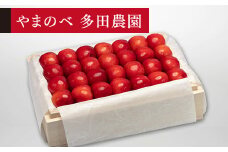 ≪2025年 先行予約≫さくらんぼ 特選紅秀峰 桐箱詰 約500g「やまのべ多田農園」 F2Y-1389