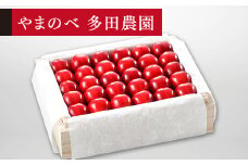 ≪2025年 先行予約≫さくらんぼ 特選「真夏のルビー紅姫」 桐箱詰 約500g「やまのべ多田農園」 F2Y-1390