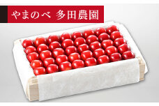 ≪2025年 先行予約≫さくらんぼ 特選紅秀峰 桐箱詰 約700g「やまのべ多田農園」 F2Y-1393