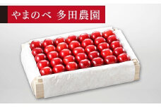 ≪2025年 先行予約≫さくらんぼ 特選「真夏のルビー紅姫」 桐箱詰 約700g「やまのべ多田農園」 F2Y-1394